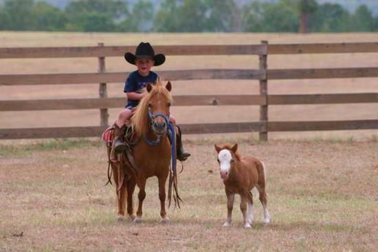 Reach Out to Horses- Children and Horses